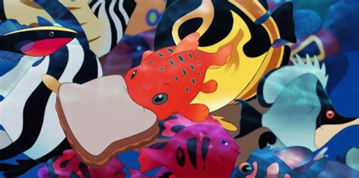 What Is Pudge the fish? – Celebrity